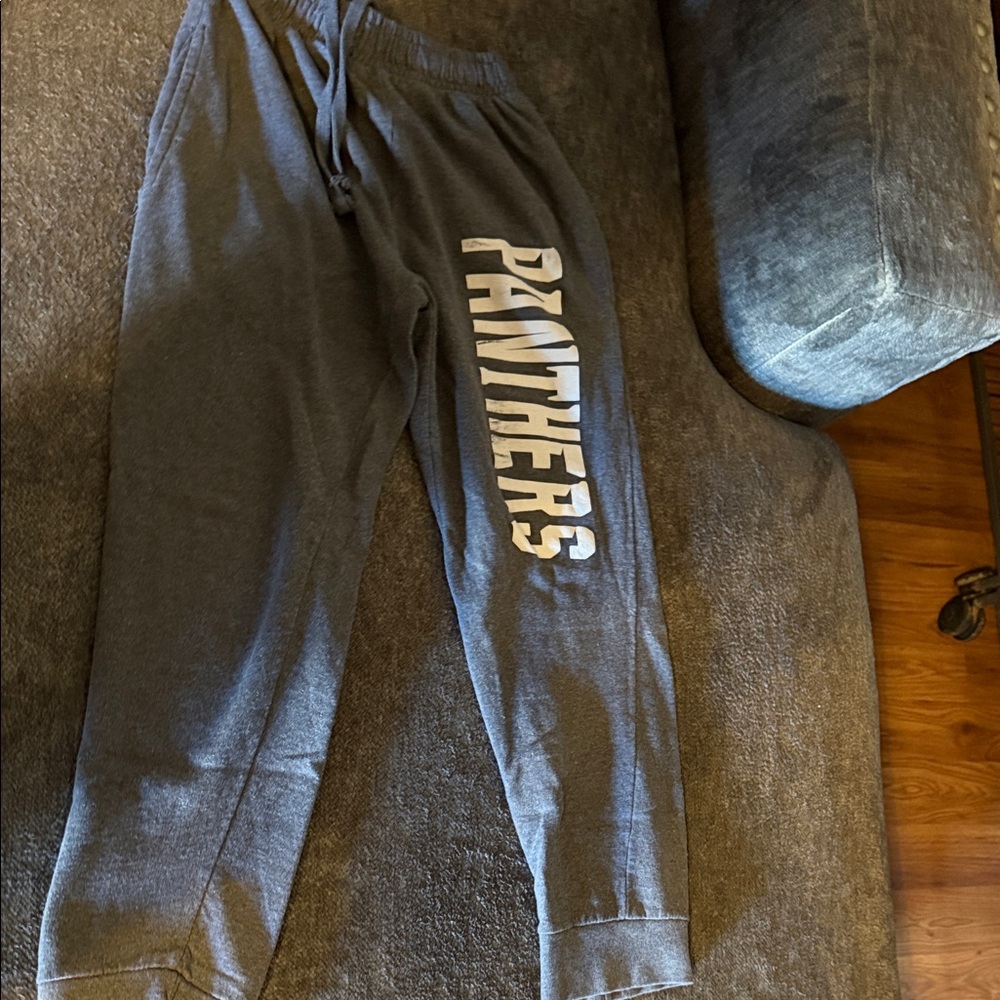 Gray Panthers Kids Sweatpants